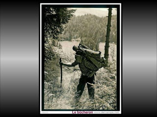 Le bûcheron 