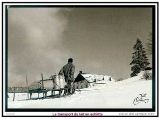 Le transport du lait en schlitte 