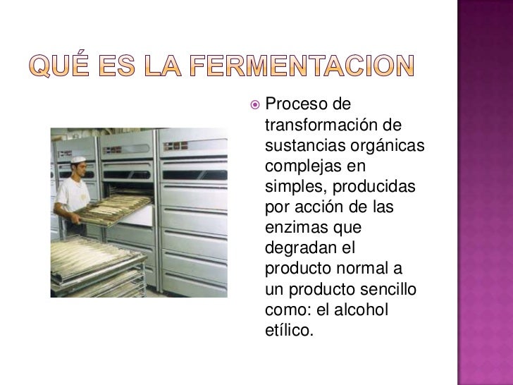 La fermentacion del pan