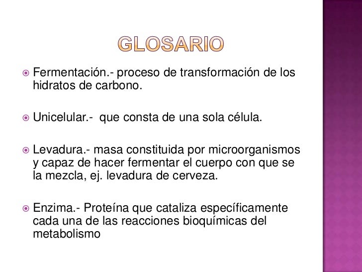 La fermentacion del pan