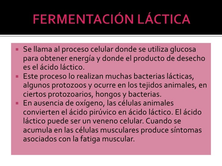 La Fermentacion La Fermentacion