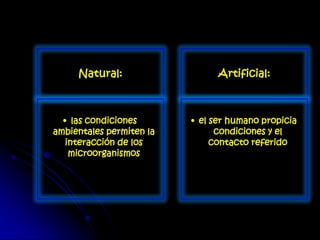 Natural:
• las condiciones
ambientales permiten la
interacción de los
microorganismos
Artificial:
• el ser humano propicia
condiciones y el
contacto referido
 