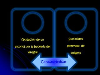 Oxidación de un
alcohol por la bacteria del
vinagre
Suministro
generoso de
oxigeno
Características
 
