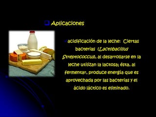  Aplicaciones
acidificación de la leche: Ciertas
bacterias (Lactobacillus
Streptococcus), al desarrollarse en la
leche utilizan la lactosa; ésta, al
fermentar, produce energía que es
aprovechada por las bacterias y el
ácido láctico es eliminado.
 