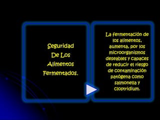 Seguridad
De Los
Alimentos
Fermentados.
La fermentación de
los alimentos,
aumenta, por los
microorganismos
deseables y capaces
de reducir el riesgo
de contaminación
patógena como
salmonella y
clostridium.
 