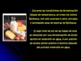  Durante las condiciones de fermentación
ideales de temperatura, se crean los mohos
Rhizopus, con alto sustrato o seco, pH bajo,
y cantidades altas de esporas de Rhizopus.
 El bajo nivel de pH de las habas de soya
es obtenido por una fermentación de ácido
láctico en inmersión en agua, ó por adición
de ácidos (ácido acético ó láctico) después
del proceso inmersión en agua.
 