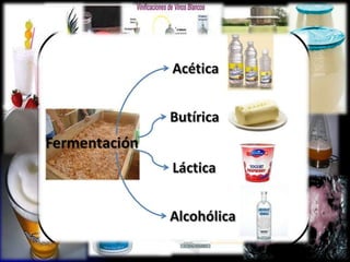 La fermentacion
