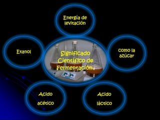 Significado
Científico de
Fermentación.
Energía de
levitación
como la
azúcar
Acido
láctico
Acido
acético
Etanol
 