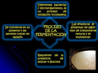 PROCESO
DE LA
FERMENTACIÓN
Diferentes bacterias
y microorganismos; es
un proceso de
oxidación incompleta
Requieren de la
presencia de
azúcar o glucosa
Las levaduras se
alimentan de algún
tipo de componente
natural y se
multiplican
Se convierte en su
alimento y les
permite crecer en
tamaño
 