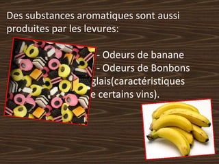 Des substances aromatiques sont aussi produites par les levures:   - Odeurs de banane   - Odeurs de Bonbons    anglais(caractéristiques    de certains vins). 