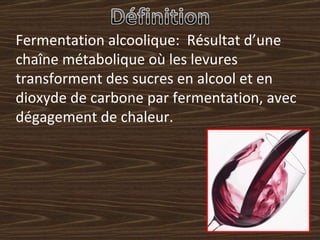 Fermentation alcoolique:  Résultat d’une chaîne métabolique où les levures transforment des sucres en alcool et en dioxyde de carbone par fermentation, avec dégagement de chaleur.  