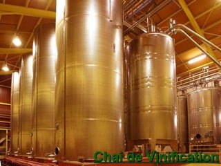Chai de Vinification 