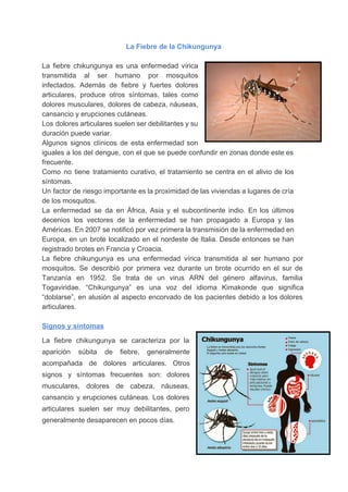 La Fiebre de la Chikungunya 
 
La fiebre chikungunya es una enfermedad vírica             
transmitida al ser humano por mosquitos           
infectados. Además de fiebre y fuertes dolores             
articulares, produce otros síntomas, tales como           
dolores musculares, dolores de cabeza, náuseas,           
cansancio y erupciones cutáneas. 
Los dolores articulares suelen ser debilitantes y su               
duración puede variar. 
Algunos signos clínicos de esta enfermedad son             
iguales a los del dengue, con el que se puede confundir en zonas donde este es                               
frecuente. 
Como no tiene tratamiento curativo, el tratamiento se centra en el alivio de los                           
síntomas. 
Un factor de riesgo importante es la proximidad de las viviendas a lugares de cría                             
de los mosquitos. 
La enfermedad se da en África, Asia y el subcontinente indio. En los últimos                           
decenios los vectores de la enfermedad se han propagado a Europa y las                         
Américas. En 2007 se notificó por vez primera la transmisión de la enfermedad en                           
Europa, en un brote localizado en el nordeste de Italia. Desde entonces se han                           
registrado brotes en Francia y Croacia. 
La fiebre chikungunya es una enfermedad vírica transmitida al ser humano por                       
mosquitos. Se describió por primera vez durante un brote ocurrido en el sur de                           
Tanzanía en 1952. Se trata de un virus ARN del género alfavirus, familia                         
Togaviridae. “Chikungunya” es una voz del idioma Kimakonde que significa                   
“doblarse”, en alusión al aspecto encorvado de los pacientes debido a los dolores                         
articulares. 
 
Signos y síntomas 
La fiebre chikungunya se caracteriza por la             
aparición súbita de fiebre, generalmente         
acompañada de dolores articulares. Otros         
signos y síntomas frecuentes son: dolores           
musculares, dolores de cabeza, náuseas,         
cansancio y erupciones cutáneas. Los dolores           
articulares suelen ser muy debilitantes, pero           
generalmente desaparecen en pocos días. 
 