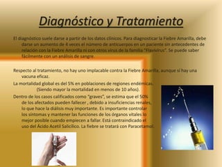 Diagnóstico y Tratamiento 
El diagnóstico suele darse a partir de los datos clínicos. Para diagnosticar la Fiebre Amarilla, debe 
darse un aumento de 4 veces el número de anticuerpos en un paciente sin antecedentes de 
relación con la Fiebre Amarilla ni con otros virus de la familia “Flavivirus”. Se puede saber 
fácilmente con un análisis de sangre. 
Respecto al tratamiento, no hay uno implacable contra la Fiebre Amarilla, aunque sí hay una 
vacuna eficaz. 
La mortalidad global es del 5% en poblaciones de regiones endémicas. 
(Siendo mayor la mortalidad en menos de 10 años). 
Dentro de los casos calificados como “graves”, se estima que el 50% 
de los afectados pueden fallecer , debido a insuficiencias renales, 
lo que hace la diálisis muy importante. Es importante controlar 
los síntomas y mantener las funciones de los órganos vitales lo 
mejor posible cuando empiecen a fallar. Está contraindicado el 
uso del Ácido Acetil Salicílico. La fiebre se tratará con Paracetamol. 
 