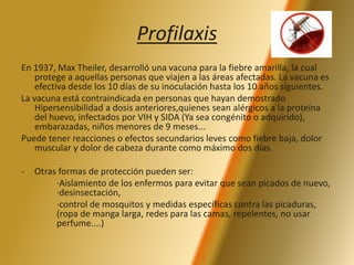 Profilaxis 
En 1937, Max Theiler, desarrolló una vacuna para la fiebre amarilla, la cual 
protege a aquellas personas que viajen a las áreas afectadas. La vacuna es 
efectiva desde los 10 días de su inoculación hasta los 10 años siguientes. 
La vacuna está contraindicada en personas que hayan demostrado 
Hipersensibilidad a dosis anteriores,quienes sean alérgicos a la proteína 
del huevo, infectados por VIH y SIDA (Ya sea congénito o adquirido), 
embarazadas, niños menores de 9 meses... 
Puede tener reacciones o efectos secundarios leves como fiebre baja, dolor 
muscular y dolor de cabeza durante como máximo dos días. 
- Otras formas de protección pueden ser: 
·Aislamiento de los enfermos para evitar que sean picados de nuevo, 
·desinsectación, 
·control de mosquitos y medidas específicas contra las picaduras, 
(ropa de manga larga, redes para las camas, repelentes, no usar 
perfume....) 
 