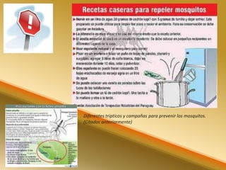 Diferentes trípticos y campañas para prevenir los mosquitos. 
(Citados anteriormente) 
 