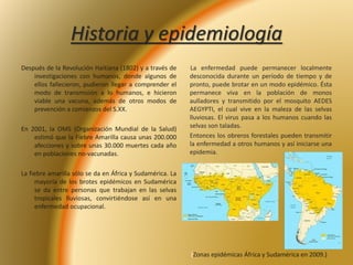 Historia y epidemiología 
Después de la Revolución Haitiana (1802) y a través de 
investigaciones con humanos, donde algunos de 
ellos fallecieron, pudieron llegar a comprender el 
modo de transmisión a lo humanos, e hicieron 
viable una vacuna, además de otros modos de 
prevención a comienzos del S.XX. 
En 2001, la OMS (Organización Mundial de la Salud) 
estimó que la Fiebre Amarilla causa unas 200.000 
afecciones y sobre unas 30.000 muertes cada año 
en poblaciones no-vacunadas. 
La fiebre amarilla sólo se da en África y Sudamérica. La 
mayoría de los brotes epidémicos en Sudamérica 
se da entre personas que trabajan en las selvas 
tropicales lluviosas, convirtiéndose así en una 
enfermedad ocupacional. 
La enfermedad puede permanecer localmente 
desconocida durante un período de tiempo y de 
pronto, puede brotar en un modo epidémico. Ésta 
permanece viva en la población de monos 
aulladores y transmitido por el mosquito AEDES 
AEGYPTI, el cual vive en la maleza de las selvas 
lluviosas. El virus pasa a los humanos cuando las 
selvas son taladas. 
Entonces los obreros forestales pueden transmitir 
la enfermedad a otros humanos y así iniciarse una 
epidemia. 
(Zonas epidémicas África y Sudamérica en 2009.) 
 