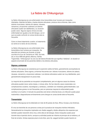 La fiebre de Chikungunya 
 
La fiebre chikungunya es una enfermedad vírica transmitida al ser humano por mosquitos 
infectados. Además de fiebre y fuertes dolores articulares, produce otros síntomas, tales como 
dolores musculares, dolores de cabeza, náuseas, 
cansancio y erupciones cutáneas.Los dolores 
articulares suelen ser debilitantes y su duración 
puede variar. Algunos signos clínicos de esta 
enfermedad son iguales a los del dengue, con el 
que se puede confundir en zonas donde este es 
frecuente. 
Como no tiene tratamiento curativo, el tratamiento 
se centra en el alivio de los síntomas. 
La fiebre chikungunya es una enfermedad vírica 
transmitida al ser humano por mosquitos. Se 
describió por primera vez durante un brote 
ocurrido en el sur de Tanzanía en 1952. Se trata 
de un virus ARN del género alfavirus, familia 
Togaviridae. “Chikungunya” es una voz del idioma Kimakonde que significa “doblarse”, en alusión al 
aspecto encorvado de los pacientes debido a los dolores articulares. 
Signos y síntomas 
La fiebre chikungunya se caracteriza por la aparición súbita de fiebre, generalmente acompañada de 
dolores articulares. Otros signos y síntomas frecuentes son: dolores musculares, dolores de cabeza, 
náuseas, cansancio y erupciones cutáneas. Los dolores articulares suelen ser muy debilitantes, pero 
generalmente desaparecen en pocos días. 
La mayoría de los pacientes se recuperan completamente, pero en algunos casos los dolores 
articulares pueden durar varios meses, o incluso años. Se han descrito casos ocasionales con 
complicaciones oculares, neurológicas y cardiacas, y también con molestias gastrointestinales. Las 
complicaciones graves no son frecuentes, pero en personas mayores la enfermedad puede 
contribuir a la muerte. A menudo los pacientes solo tienen síntomas leves y la infección puede pasar 
inadvertida o diagnosticarse erróneamente como dengue en zonas donde este es frecuente. 
Transmisión 
La fiebre chikungunya se ha detectado en más de 60 países de Asia, África, Europa y las Américas. 
El virus se transmite de una persona a otras por la picadura de mosquitos hembra infectados. 
Generalmente los mosquitos implicados son ​Aedes aegypti ​y ​Aedes albopictus​ dos especies que 
también pueden transmitir otros virus, entre ellos el del dengue. Estos mosquitos suelen picar 
durante todo el periodo diurno, aunque su actividad puede ser máxima al principio de la mañana y al 
final de la tarde. Ambas especies pican al aire libre, pero Ae. aegypti también puede hacerlo en 
 