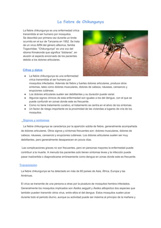  ​La fiebre de Chikungunya
 
La fiebre chikungunya es una enfermedad vírica 
transmitida al ser humano por mosquitos.  
Se describió por primera vez durante un brote 
ocurrido en el sur de Tanzania en 1952. Se trata 
de un virus ARN del género alfavirus, familia 
Togaviridae. “Chikungunya” es una voz del 
idioma Kimakonde que significa “doblarse”, en 
alusión al aspecto encorvado de los pacientes 
debido a los dolores articulares. 
 
Cifras y datos 
● La fiebre chikungunya es una enfermedad 
vírica transmitida al ser humano por 
mosquitos infectados. Además de fiebre y fuertes dolores articulares, produce otros 
síntomas, tales como dolores musculares, dolores de cabeza, náuseas, cansancio y 
erupciones cutáneas. 
● Los dolores articulares suelen ser debilitantes y su duración puede variar. 
● Algunos signos clínicos de esta enfermedad son iguales a los del dengue, con el que se 
puede confundir en zonas donde este es frecuente. 
● Como no tiene tratamiento curativo, el tratamiento se centra en el alivio de los síntomas. 
● Un factor de riesgo importante es la proximidad de las viviendas a lugares de cría de los 
mosquitos. 
   ​  ​Signos y síntomas 
   La fiebre chikungunya se caracteriza por la aparición súbita de fiebre, generalmente acompañada 
de dolores articulares. Otros signos y síntomas frecuentes son: dolores musculares, dolores de 
cabeza, náuseas, cansancio y erupciones cutáneas. Los dolores articulares suelen ser muy 
debilitantes, pero generalmente desaparecen en pocos días. 
 Las complicaciones graves no son frecuentes, pero en personas mayores la enfermedad puede 
contribuir a la muerte. A menudo los pacientes solo tienen síntomas leves y la infección puede 
pasar inadvertida o diagnosticarse erróneamente como dengue en zonas donde este es frecuente. 
Transmisión 
La fiebre chikungunya se ha detectado en más de 60 países de Asia, África, Europa y las 
Américas. 
El virus se transmite de una persona a otras por la picadura de mosquitos hembra infectados. 
Generalmente los mosquitos implicados son ​Aedes aegypti ​y ​Aedes albopictus​ dos especies que 
también pueden transmitir otros virus, entre ellos el del dengue. Estos mosquitos suelen picar 
durante todo el periodo diurno, aunque su actividad puede ser máxima al principio de la mañana y 
 