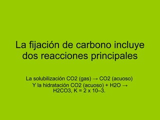 La fijación de carbono incluye dos reacciones principales La solubilización CO2 (gas) -> CO2 (acuoso)  Y la hidratación CO2 (acuoso) + H2O -> H2CO3, K = 2 x 10–3.  