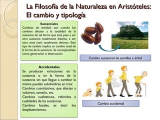 La Filosofía de la Naturaleza en Aristóteles:
   El cambio y tipología
               Sustanciales
Cambios de entidad, son cuando los
cambios afectan a la totalidad de la
sustancia de tal forma que ésta pasa a ser
otra sustancia totalmente distinta, a ser
otro ente (ser) totalmente distinto. Este
tipo de cambio implica un cambio total de
la forma de la sustancia. Se conceptualizan
como generación o destrucción
                                              Cambio sustancial de semillas a árbol

            Accidentales
Se producen variaciones en la
sustancia o en la forma de la
sustancia sin que llegue a cambiar la
misma pueden subdividirse en tres:
Cambios cuantitativos, que afectan a
volumen, tamaño, etc.
Cambios cualitativos, referidos a
cualidades de las sustancias.
                                                    Cambio accidental
Cambios locales, es decir los
desplazamientos.
 