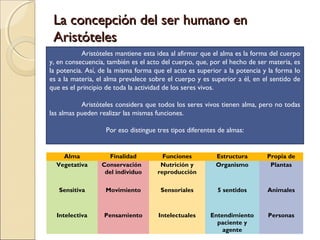 La concepción del ser humano en
 Aristóteles
           Aristóteles mantiene esta idea al afirmar que el alma es la forma del cuerpo
y, en consecuencia, también es el acto del cuerpo, que, por el hecho de ser materia, es
la potencia. Así, de la misma forma que el acto es superior a la potencia y la forma lo
es a la materia, el alma prevalece sobre el cuerpo y es superior a él, en el sentido de
que es el principio de toda la actividad de los seres vivos.
 
           Aristóteles considera que todos los seres vivos tienen alma, pero no todas
las almas pueden realizar las mismas funciones.

                   Por eso distingue tres tipos diferentes de almas:


    Alma             Finalidad         Funciones          Estructura       Propia de
  Vegetativa      Conservación        Nutrición y         Organismo         Plantas
                   del individuo     reproducción                               
                                                                                
   Sensitiva       Movimiento         Sensoriales         5 sentidos       Animales
                                                                               
                                                                               
  Intelectiva     Pensamiento        Intelectuales      Entendimiento      Personas
                                                          paciente y
                                                            agente
 