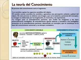 La teoría del Conocimiento
El proceso del conocimiento sería el siguiente:
 
•Los sentidos captan los aspectos sensibles del objeto.
•El sentido común coordina los sentidos y garantiza una percepción unitaria y global del
objeto. De este proceso se obtiene una imagen, que es la materia y potencia del concepto.
La imagen es elaborada por la imaginación, la memoria, y la experiencia.
•La imagen pasa al entendimiento paciente, que recibe las imágenes y las hace
potencialmente inteligibles. El entendimiento agente abstrae y actualiza a los inteligibles
presentes en el entendimiento paciente, obteniendo un concepto, que se constituye en la
base del conocimiento universal, y es siempre verdadero.
 