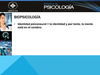 BIOPSICOLOGÍA
• Identidad psiconeural = la identidad y por tanto, la mente
  está en el cerebro.
 