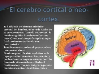 El neo-cortex o cerebro cortical, es aquella parte de nuestros cerebros
que está dedicada al lenguaje y al razonamiento. E...