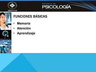 FUNCIONES BÁSICAS
• Memoria
• Atención
• Aprendizaje
 