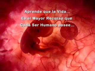 Aprende que la Vida…
Es el Mayor Recurso que
Cada Ser Humano posee…
 