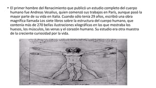 • El primer hombre del Renacimiento que publicó un estudio completo del cuerpo
humano fue Andreas Vesalius, quien comenzó sus trabajos en París, aunque pasó la
mayor parte de su vida en Italia. Cuando sólo tenía 29 años, escribió una obra
magnífica llamada Los siete libros sobre la estructura del cuerpo humano, que
contenía más de 270 bellas ilustraciones xilográficas en las que mostraba los
huesos, los músculos, las venas y el corazón humano. Su estudio era otra muestra
de la creciente curiosidad por la vida.
 