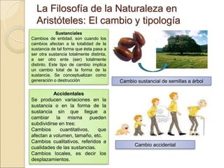 La Filosofía de la Naturaleza en Aristóteles:La Filosofía de la Naturaleza en Aristóteles:
El cambio y tipologíaEl cambio y tipología
Sustanciales
Cambios de entidad, son cuando los
cambios afectan a la totalidad de la
sustancia de tal forma que ésta pasa a ser
otra sustancia totalmente distinta, a ser
otro ente (ser) totalmente distinto. Este
tipo de cambio implica un cambio total de
la forma de la sustancia. Se conceptualizan
como generación o destrucción
Cambio sustancial de semillas a árbol
Accidentales
Se producen variaciones en la
sustancia o en la forma de la
sustancia sin que llegue a cambiar la
misma pueden subdividirse en tres:
Cambios cuantitativos, que afectan a
volumen, tamaño, etc.
Cambios cualitativos, referidos a
cualidades de las sustancias.
Cambios locales, es decir los
desplazamientos.
Cambio accidental
 
