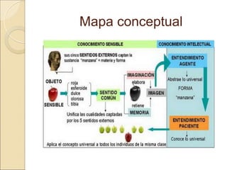 Mapa conceptual
 