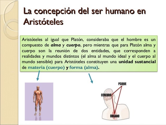 La filosofia de aristóteles