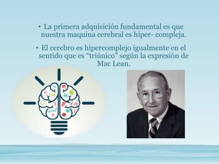 • La primera adquisición fundamental es que
nuestra maquina cerebral es hiper- compleja.
• El cerebro es hipercomplejo igualmente en el
sentido que es “triúnico” según la expresión de
Mac Lean.
 