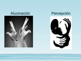 Alucinación Percepción
 