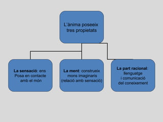 L’ànima poseeix
tres propietats
La sensació: ens
Posa en contacte
amb el món
La ment: construeix
mons imaginaris
(relació amb sensació)
La part racional:
llenguatge
i comunicació
del coneixement
 