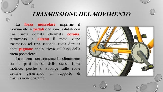 La fisica della bicicletta