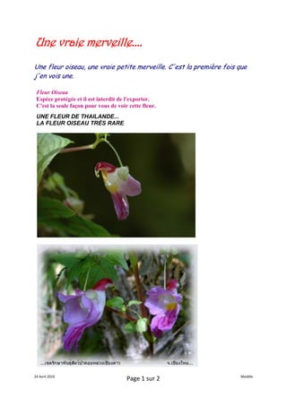 Une vraie merveille....
Une fleur oiseau, une vraie petite merveille. C'est la première fois que
j'en vois une.

 Fleur Oiseau
 Espèce protégée et il est interdit de l'exporter.
 C'est la seule façon pour vous de voir cette fleur.
 UNE FLEUR DE THAILANDE...
 LA FLEUR OISEAU TRÈS RARE




24 Avril 2010                                                        Modèle
                                       Page 1 sur 2
 