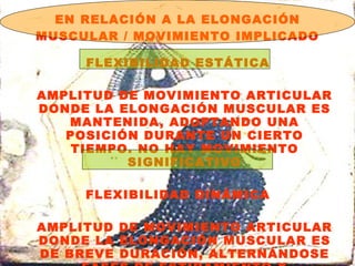EN RELACIÓN A LA ELONGACIÓN MUSCULAR / MOVIMIENTO IMPLICADO FLEXIBILIDAD ESTÁTICA AMPLITUD DE MOVIMIENTO ARTICULAR DONDE LA ELONGACIÓN MUSCULAR ES MANTENIDA, ADOPTANDO UNA POSICIÓN DURANTE UN CIERTO TIEMPO. NO HAY MOVIMIENTO SIGNIFICATIVO FLEXIBILIDAD DINÁMICA AMPLITUD DE MOVIMIENTO ARTICULAR DONDE LA ELONGACIÓN MUSCULAR ES DE BREVE DURACIÓN, ALTERNÁNDOSE FASES DE ESTIRAMIENTO Y ACORTAMIENTO MUSCULAR. SON EJERCICIOS CON MOVIMIENTOS 