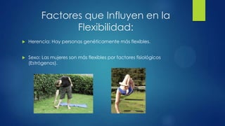 Factores que Influyen en la
Flexibilidad:
 Herencia: Hay personas genéticamente más flexibles.
 Sexo: Las mujeres son más flexibles por factores fisiológicos
(Estrógenos).
 