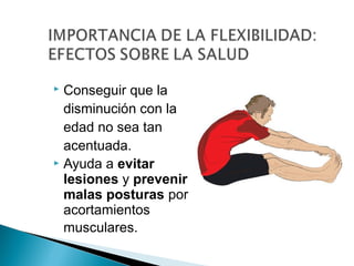  Conseguir que la
disminución con la
edad no sea tan
acentuada.
 Ayuda a evitar
lesiones y prevenir
malas posturas por
acortamientos
musculares.
 