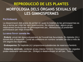 MORFOLOGIA DELS ÓRGANS SEXUALS DE
LES GIMNOSPERMES
Pol·linització
La disseminació dels grans de pol·len en quasi la totalitat de les gimnospermes es
duu a terme per mitjà del vent (anemocòria). No obstant això, alguns grups
relativament evolucionats de gimnospermes (ex., Welwitschia) ja presenten
pol·linització per mitjà d'insectes.
La seva llavorllavor consta de:
• Embrió: prové del desenvolupament de l'ovocèl·lula fecundada. És diploide (2n) i
donarà lloc a l'esporòfit. Conté els cotilèdons en nombre variable (de dos a més de
vint segons les espècies).
• Endosperma: És haploide (n) i proporciona substàncies de reserva a l'embrió.
• Cobertes seminals: contenen al seu interior l'embrió i l'endosperma. De vegades
poden esdevenir carnoses (ex., Ginkgo) o desenvolupar un aril (ex., Taxus).
REPRODUCCIÓ DE LES PLANTES
 