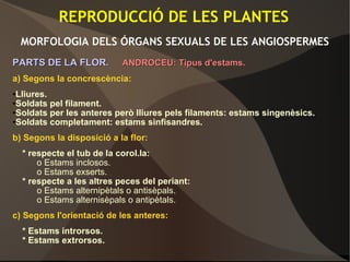 REPRODUCCIÓ DE LES PLANTES
MORFOLOGIA DELS ÓRGANS SEXUALS DE LES ANGIOSPERMES
PARTS DE LA FLOR.PARTS DE LA FLOR. ANDROCEU: Tipus d'estams.ANDROCEU: Tipus d'estams.
a) Segons la concrescència:
•Lliures.
•Soldats pel filament.
•Soldats per les anteres però lliures pels filaments: estams singenèsics.
•Soldats completament: estams sinfisandres.
b) Segons la disposició a la flor:
* respecte el tub de la corol.la:
o Estams inclosos.
o Estams exserts.
* respecte a les altres peces del periant:
o Estams alternipètals o antisèpals.
o Estams alternisèpals o antipètals.
c) Segons l'orientació de les anteres:
* Estams introrsos.
* Estams extrorsos.
 