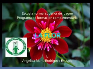 Escuela normal superior de Ibague
Programa de formacion complementaria




                   L
   Angelica Maria Rodriguez Estrada
 
