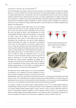 Flor 10
gamocarpelar o sincárpico, que es lo más frecuente.
[19]
En la flor dialicapelar cada carpelo constituye un pistilo, mientras en la sincárpica hay un solo pistilo. Por ejemplo,
Kalanchoe, con cuatro carpelos libres, presenta cuatro pistilos. En el gineceo gamocarpelar o sincárpico la unión de
los carpelos puede afectar sólo a la porción del ovario, por lo que quedan libres tanto los estilos como los estigmas
(ejemplo, el género Turnera); puede involucrar los ovarios y los estilos, quedando libres los estigmas (como ocurre
en las compuestas y en Hibiscus), por lo que se puede determinar el número de carpelos que conforman el pistilo por
observación de la cantidad de estigmas. Finalmente, en muchas ocasiones la unión o soldadura de los carpelos es
total. En estos casos el número de carpelos puede determinarse a través del número de los lóbulos estigmáticos (por
ejemplo, en las bignoniáceas).
Esquema de las posibles posiciones del ovario I
ovario súpero, II ovario semiínfero, III ovario
ínfero. a: androceo, g: gineceo, p: pétalos, s:
sépalos, r: receptáculo.
Microfotografía de un óvulo de una
monocotiledónea.
El estilo es de longitud variable, desde menos de 0,5 mm (estigma
subsésil) hasta más de 30 cm en ciertas variedades de maíz, que es lo
que se conoce como barba de choclo. Generalmente nace en el ápice
del ovario, pero puede ser lateral o nacer aparentemente en la base
(estilo ginobásico).
[]
Desde el punto de vista anatómico, el estilo puede
ser sólido o hueco. En las plantas con estilo hueco el tejido de
transmisión (por donde crecen los tubos polínicos para efectuar la
fecundación) está constituido por una capa de células epidérmicas
bastante diferenciadas que rodean un canal hueco (el denominado
canal estilar). Los tubos polínicos crecen desde el estigma hacia el
ovario a lo largo de la superficie de ese canal, normalmente a través de
una fina capa de mucílago. En las plantas que poseen estilos sólidos, en
cambio, las células epidérmicas se hallan íntimamente fusionadas y no
dejan ningún espacio entre sí. Los tubos polínicos, en este caso, crecen
entre las células del tejido de transmisión (como en el caso de
Petunia)
[]
o a través de las paredes celulares (como en Gossypium).
[]
El
tejido de transmisión en los estilos sólidos incluye una sustancia
intercelular que contiene pectina, comparable al mucílago que se
encuentra en el canal estilar de los estilos huecos.
[]
Desde el punto de
vista de la distribución de ambos tipos de estilos entre las diferentes
familias de angiospermas, los estilos sólidos se consideran típicos de
las eudicotiledóneas y son raros en las monocotiledóneas.
[] []
El estigma tiene forma variable, plumoso en el caso de las gramíneas,
en cabezuela en Citrus, lobulado en Cucurbita, petaloide en Canna y
hasta con forma de sombrilla invertida en el caso de Sarracenia. Tiene
particularidades estructurales que permiten la germinación del polen y el desarrollo del tubo polínico que llegará
hasta los óvulos. Se ha comprobado que el estigma está cubierto por proteínas hidrofílicas en la pared externa; son
probablemente las que actúan en el reconocimiento del polen adecuado y en las reacciones de autoincompatibilidad,
en cuyo caso a veces de deposita calosa para detener la germinación del polen incompatible.
[]
Los estigmas se dividen en dos grandes grupos: estigmas húmedos y secos.
[27]
Los estigmas húmedos liberan un
exudado durante el período receptivo y se presentan en familias como las orquidáceas, escrofulariáceas y solanáceas.
Los estigmas húmedos pueden presentar papilas (estigmas papilosos, como en Annona, Mandevilla, Bignonia y
Punica) o no presentarlas (estigmas no papilosos, en Citrus, Impatiens, Opuntia y Tamarix ). Los estigmas secos no
liberan secreciones líquidas, sino que producen proteínas o ceras. Pueden ser plumosos (gramíneas) o no plumosos y,
en este caso, papilosos (Cordyline, Yucca Pelargonium o no papilosos (Asclepias, Capparis, Cyperus).
[]
 