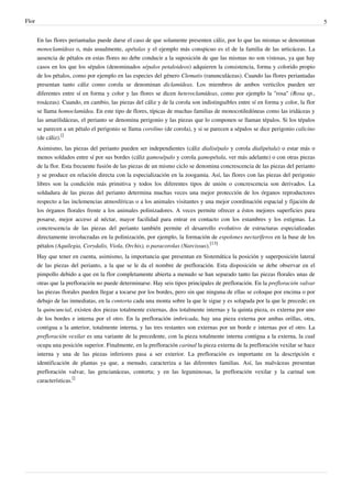 Flor 5
En las flores periantadas puede darse el caso de que solamente presenten cáliz, por lo que las mismas se denominan
monoclamídeas o, más usualmente, apétalas y el ejemplo más conspicuo es el de la familia de las urticáceas. La
ausencia de pétalos en estas flores no debe conducir a la suposición de que las mismas no son vistosas, ya que hay
casos en los que los sépalos (denominados sépalos petaloideos) adquieren la consistencia, forma y colorido propio
de los pétalos, como por ejemplo en las especies del género Clematis (ranunculáceas). Cuando las flores periantadas
presentan tanto cáliz como corola se denominan diclamídeas. Los miembros de ambos verticilos pueden ser
diferentes entre sí en forma y color y las flores se dicen heteroclamídeas, como por ejemplo la "rosa" (Rosa sp.,
rosáceas). Cuando, en cambio, las piezas del cáliz y de la corola son indistinguibles entre sí en forma y color, la flor
se llama homoclamídea. En este tipo de flores, típicas de muchas familias de monocotiledóneas como las iridáceas y
las amarilidáceas, el perianto se denomina perigonio y las piezas que lo componen se llaman tépalos. Si los tépalos
se parecen a un pétalo el perigonio se llama corolino (de corola), y si se parecen a sépalos se dice perigonio calicino
(de cáliz).
[]
Asimismo, las piezas del perianto pueden ser independientes (cáliz dialisépalo y corola dialipétala) o estar más o
menos soldados entre sí por sus bordes (cáliz gamosépalo y corola gamopétala, ver más adelante) o con otras piezas
de la flor. Esta frecuente fusión de las piezas de un mismo ciclo se denomina concrescencia de las piezas del perianto
y se produce en relación directa con la especialización en la zoogamia. Así, las flores con las piezas del perigonio
libres son la condición más primitiva y todos los diferentes tipos de unión o concrescencia son derivados. La
soldadura de las piezas del perianto determina muchas veces una mejor protección de los órganos reproductores
respecto a las inclemencias atmosféricas o a los animales visitantes y una mejor coordinación espacial y fijación de
los órganos florales frente a los animales polinizadores. A veces permite ofrecer a éstos mejores superficies para
posarse, mejor acceso al néctar, mayor facilidad para entrar en contacto con los estambres y los estigmas. La
concrescencia de las piezas del perianto también permite el desarrollo evolutivo de estructuras especializadas
directamente involucradas en la polinización, por ejemplo, la formación de espolones nectaríferos en la base de los
pétalos (Aquilegia, Corydalis, Viola, Orchis), o paracorolas (Narcissus).
[13]
Hay que tener en cuenta, asimismo, la importancia que presentan en Sistemática la posición y superposición lateral
de las piezas del perianto, a la que se le da el nombre de prefloración. Esta disposición se debe observar en el
pimpollo debido a que en la flor completamente abierta a menudo se han separado tanto las piezas florales unas de
otras que la prefloración no puede determinarse. Hay seis tipos principales de prefloración. En la prefloración valvar
las piezas florales pueden llegar a tocarse por los bordes, pero sin que ninguna de ellas se coloque por encima o por
debajo de las inmediatas, en la contorta cada una monta sobre la que le sigue y es solapada por la que le precede; en
la quincuncial, existen dos piezas totalmente externas, dos totalmente internas y la quinta pieza, es externa por uno
de los bordes e interna por el otro. En la prefloración imbricada, hay una pieza externa por ambas orillas, otra,
contigua a la anterior, totalmente interna, y las tres restantes son externas por un borde e internas por el otro. La
prefloración vexilar es una variante de la precedente, con la pieza totalmente interna contigua a la externa, la cual
ocupa una posición superior. Finalmente, en la prefloración carinal la pieza externa de la prefloración vexilar se hace
interna y una de las piezas inferiores pasa a ser exterior. La prefloración es importante en la descripción e
identificación de plantas ya que, a menudo, caracteriza a las diferentes familias. Así, las malváceas presentan
prefloración valvar, las gencianáceas, contorta; y en las leguminosas, la prefloración vexilar y la carinal son
características.
[]
 