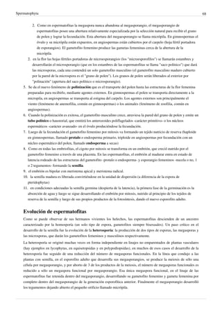 Spermatophyta 68
2. Como en espermatofitas la megaspora nunca abandona al megasporangio, el megasporangio de
espermatofitas posee una abertura relativamente especializada por la selección natural para recibir el grano
de polen y lograr la fecundación. Esta abertura del megaesporangio se llama micrópila. En gimnospermas el
óvulo y su micrópila están expuestos, en angiospermas están cubiertos por el carpelo (hoja fértil portadora
de esporangios). El gametofito femenino produce las gametas femeninas cerca de la abertura de la
micrópila.
2.
2. en la flor las hojas fértiles portadoras de microesporangios (los "microesporofilos") se llamarán estambres y
desarrollarán el microsporangio (que en los estambres de las espermatofitas se llama "saco polínico") que dará
las microsporas, cada una contendrá un solo gametofito masculino (el gametofito masculino maduro cubierto
por la pared de la microspora es el "grano de polen"). Los granos de polen serán liberados al exterior por
"polinación" (apertura del saco polínico o microsporangio).
5. Se da el nuevo fenómeno de polinización que es el transporte del polen hasta las estructuras de la flor femenina
preparadas para recibirlo, mediante agentes externos. En gimnospermas el polen se transporta directamente a la
micropila, en angiospermas se transporta al estigma del carpelo. Los agentes externos son principalmente el
viento (fenómeno de anemofilia, común en gimnospermas) o los animales (fenómeno de zoofilia, común en
angiospermas).
6. Cuando la polinización es exitosa, el gametofito masculino crece, atraviesa la pared del grano de polen y emite un
tubo polínico o haustorial, que emitirá los anterozoides poliflagelados -carácter primitivo- o los núcleos
espermáticos -carácter avanzado- en el óvulo produciéndose la fecundación.
7. Luego de la fecundación el gametofito femenino por mitosis va formando un tejido nutricio de reserva (haploide
en gimnospermas, llamado protalo o endosperma primario, triploide en angiospermas por fecundación con un
núcleo espermático del polen, llamado endosperma a secas)
8. Como en todas las embriofitas, el cigoto por mitosis se transforma en un embrión, que creció nutrido por el
gametofito femenino a través de una placenta. En las espermatofitas, el embrión al madurar entra en estado de
latencia rodeado de las estructuras del gametofito -protalo o endosperma- y esporangio femeninos -nucela o no, 1
o 2 tegumentos- formando la semilla.
9.
9. el embrión es bipolar con meristema apical y meristema radical.
10.
10. la semilla madura es liberada convirtiéndose en la unidad de dispersión (a diferencia de la espora de
pteridophytas)
11.
11. en condiciones adecuadas la semilla germina (despierta de la latencia), la primera fase de la germinación es la
absorción de agua y luego se sigue desarrollando el embrión por mitosis, nutrido al principio de los tejidos de
reserva de la semilla y luego de sus propios productos de la fotosíntesis, dando el nuevo esporofito adulto.
Evolución de espermatofitas
Como se puede observar de sus hermanos vivientes los helechos, las espermatofitas descienden de un ancestro
caracterizado por la homosporía (un solo tipo de espora, gametofitos siempre bisexuales). Un paso crítico en el
desarrollo de la semilla fue la evolución de la heterosporía: la producción de dos tipos de esporas, las megasporas y
las microsporas, que darán los gametofitos femeninos y masculinos respectivamente.
La heterosporía se originó muchas veces en forma independiente en linajes no emparentados de plantas vasculares
(hay ejemplos en lycophytas, en equisetopsidas y en polypodiopsidas), en muchos de esos casos el desarrollo de la
heterosporía fue seguido de una reducción del número de megasporas funcionales. En la línea que condujo a las
plantas con semilla, en el esporofito adulto que desarrolla sus megasporangios, se produce la meiosis de sólo una
célula por megasporangio, y por aborto de 3 de los productos de la meiosis, el número de megasporas funcionales es
reducido a sólo un megaspora funcional por megasporangio. Esa única megaspora funcional, en el linaje de las
espermatofitas fue retenida dentro del megasporangio, desarrollando su gametofito femenino y gameta femenina por
completo dentro del megasporangio de la generación esporofítica anterior. Finalmente el megasporangio desarrolló
los tegumentos dejando abierto el pequeño orificio llamado micrópila.
 