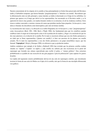 Spermatophyta 69
Nuestro conocimiento de los orígenes de la semilla se basa principalmente en fósiles bien preservados del Devónico
tardío y Carbonífero temprano, que fueron llamados "progimnospermas" o "helechos con semilla". Recordemos que
la diferenciación entre un tallo principal y ramas laterales ya había evolucionado en el linaje de las eufilofitas. Lo
primero que aparece en el linaje que derivó en las espermatofitas, fue encontrado en el Devónico tardío, y es la
aparición de troncos muy grandes, con madera bastante similar en su estructura a la de las modernas coníferas. Estos
troncos estaban conectados a enormes sistemas de ramas que portaban muchas hojas pequeñas. Archaeopteris, como
ahora es llamada, fue descubierta como heterospórica, pero aún sin formar semillas.
La reconstrucción más exacta y la ubicación en el árbol filogenético de Archaeopteris y otras "progimnospermas"
como Aneurophyton (Beck 1981, 1988, Beck y Wight 1988), fue fundamental para que los científicos puedan
establecer tanto el origen de la heterosporía como el de la producción de madera, y llegar a la conclusión de que los
dos eran anteriores a la evolución de la semilla. Por lo tanto es incorrecto afirmar que esos dos fósiles pertenecen a
un clado que se llame espermatofitas ("plantas con semilla"), si bien son ancestros de las plantas con semilla
actuales. Por lo tanto las espermatofitas y esos dos fósiles pertenecen a un grupo monofilético mayor, que fue
llamado "Lignophyta" (Doyle y Donogue 1990), en referencia a que ya producían madera.
Análisis cuidadosos (por ejemplo el de Serbet y Rothwell 1992) han revelado que las primeras semillas estaban
situadas en "cúpulas" ("cupules" en inglés) y cada semilla era cubierta por una excrecencia de la pared del
esporangio que formaba una cámara especializada para recibir el polen, o "cámara polínica". Esta estructura
probablemente se ayudaba de una secreción de una gota pegajosa ("gota de polinización") para capturar los granos
de polen.
Los tejidos del tegumento externo probablemente derivan de una serie de esporangios estériles, que inicialmente
tuvieron la forma de una serie de lóbulos en el ápice de la semilla, más que la forma de una micrópila diferenciada
(ver gráfico).
 